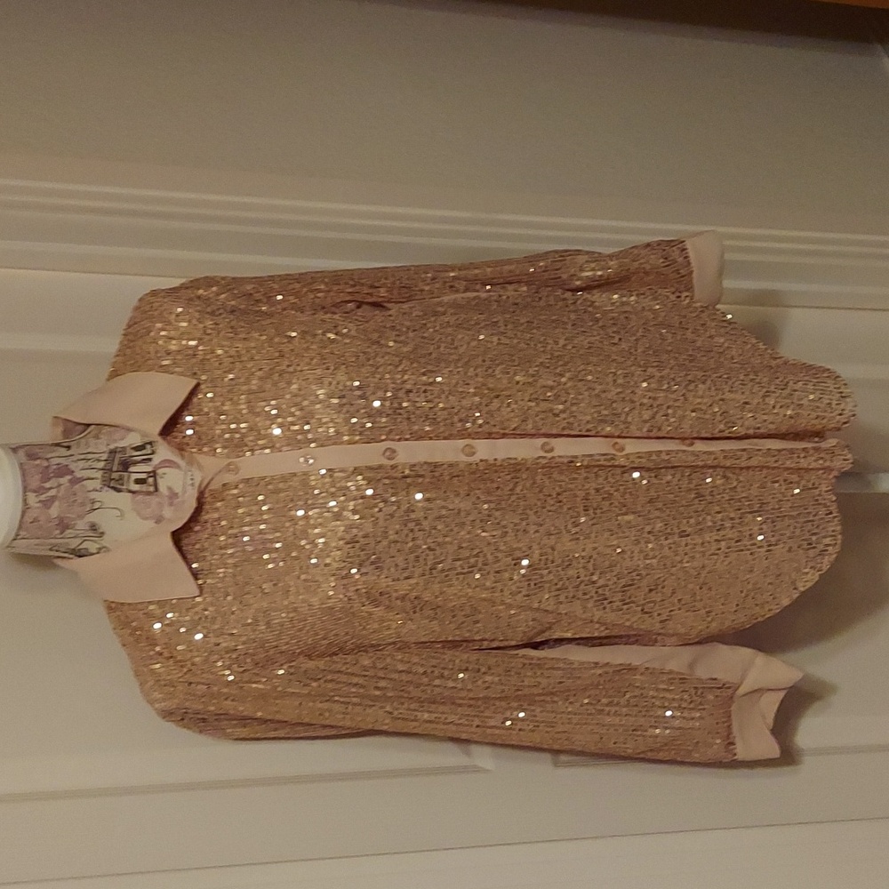Torrid Sequined Blouse